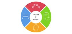 The Circle of Lifestyle - The Circle of Lifestyle - 25% Volunteer & Charity Workers discount