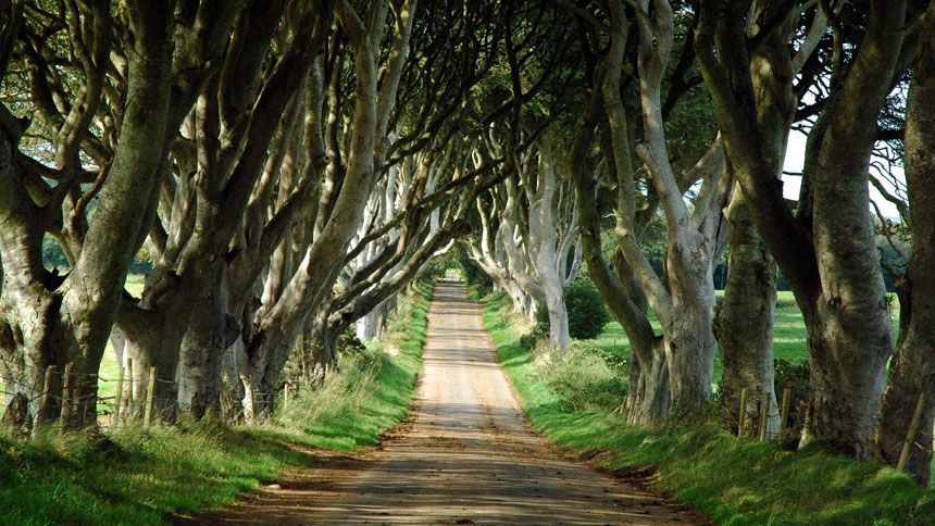 Game of Thrones Location Tours - 10% Volunteer & Charity Workers discount
