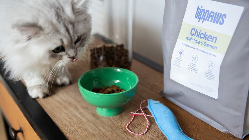 Tippaws - Healthy Food That Will Make Your Cat Purr - 20% Volunteer & Charity Workers discount