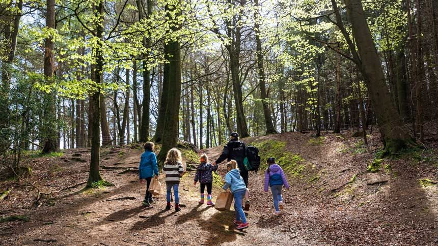 UK Forest Holiday Lodge Breaks - Up to 15% off for Volunteer & Charity Workers