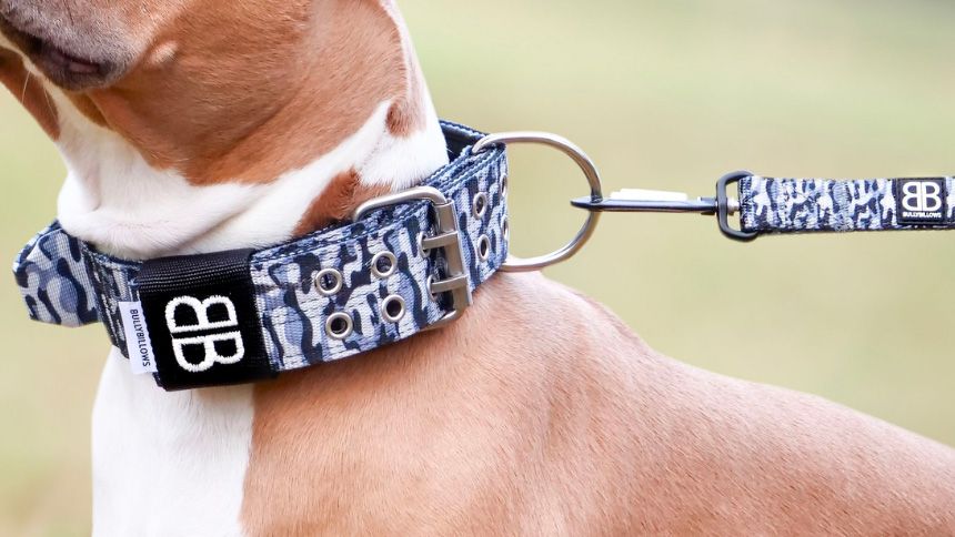 Quality Dog Collars and Dog Leads - 10% Volunteer & Charity Workers discount